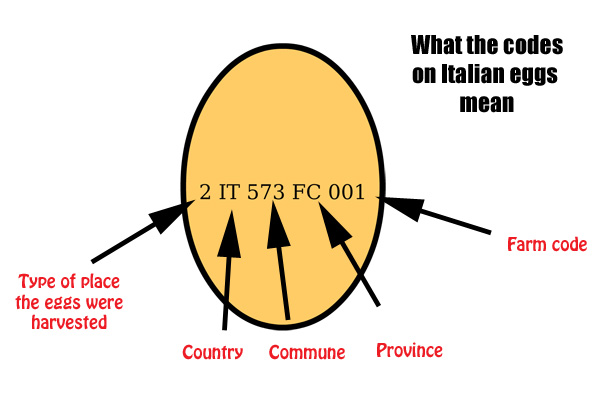 rinaz.net Eggs in Italy